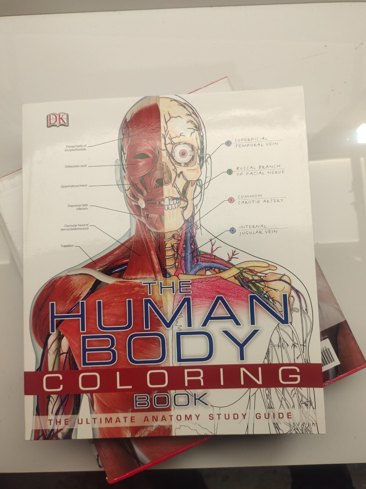 The Human Body: Complete Illustrated Guide &Anatomy Book DVD included