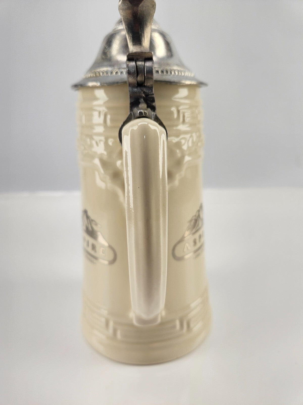 2004 Aspire Awards 9.5" Beer Stein Tankard