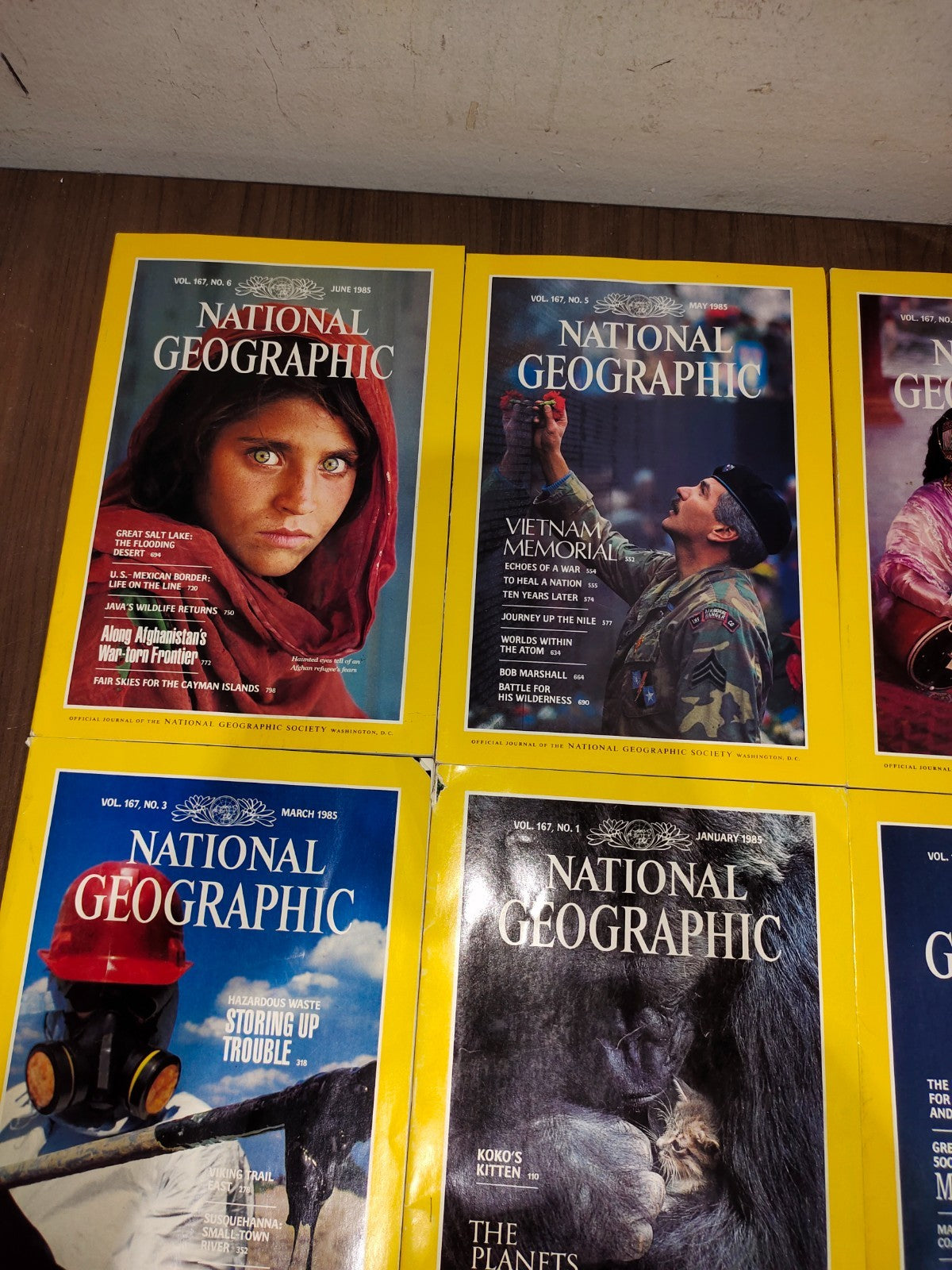 National Geographic - 1985 - January-June - Case Faux Leather - Magazines