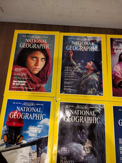 National Geographic - 1985 - January-June - Case Faux Leather - Magazines