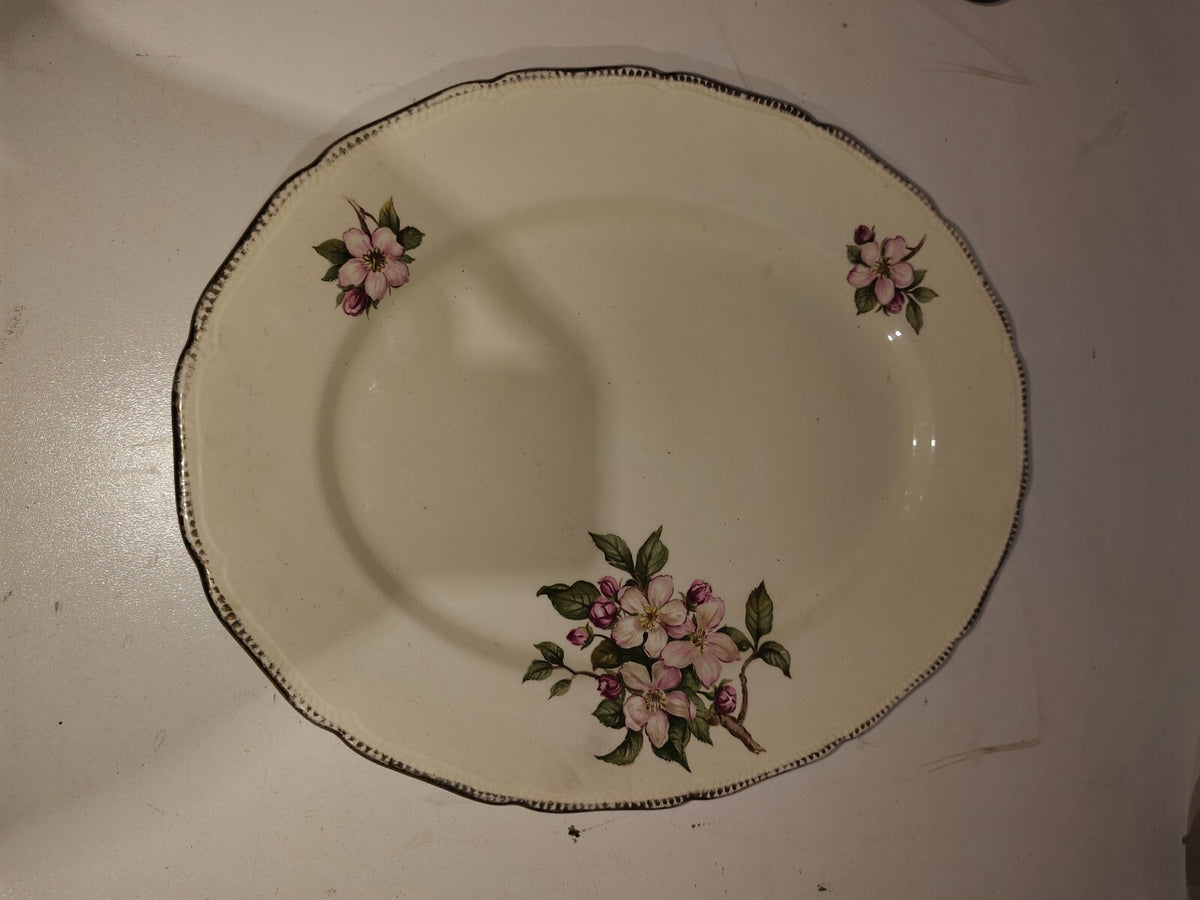 Vintage Royal Swan Oval Serving Plate