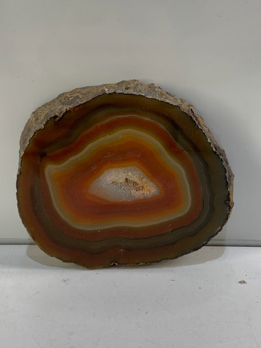 Cut & Polished, Banded Laguna Agate - Mexico