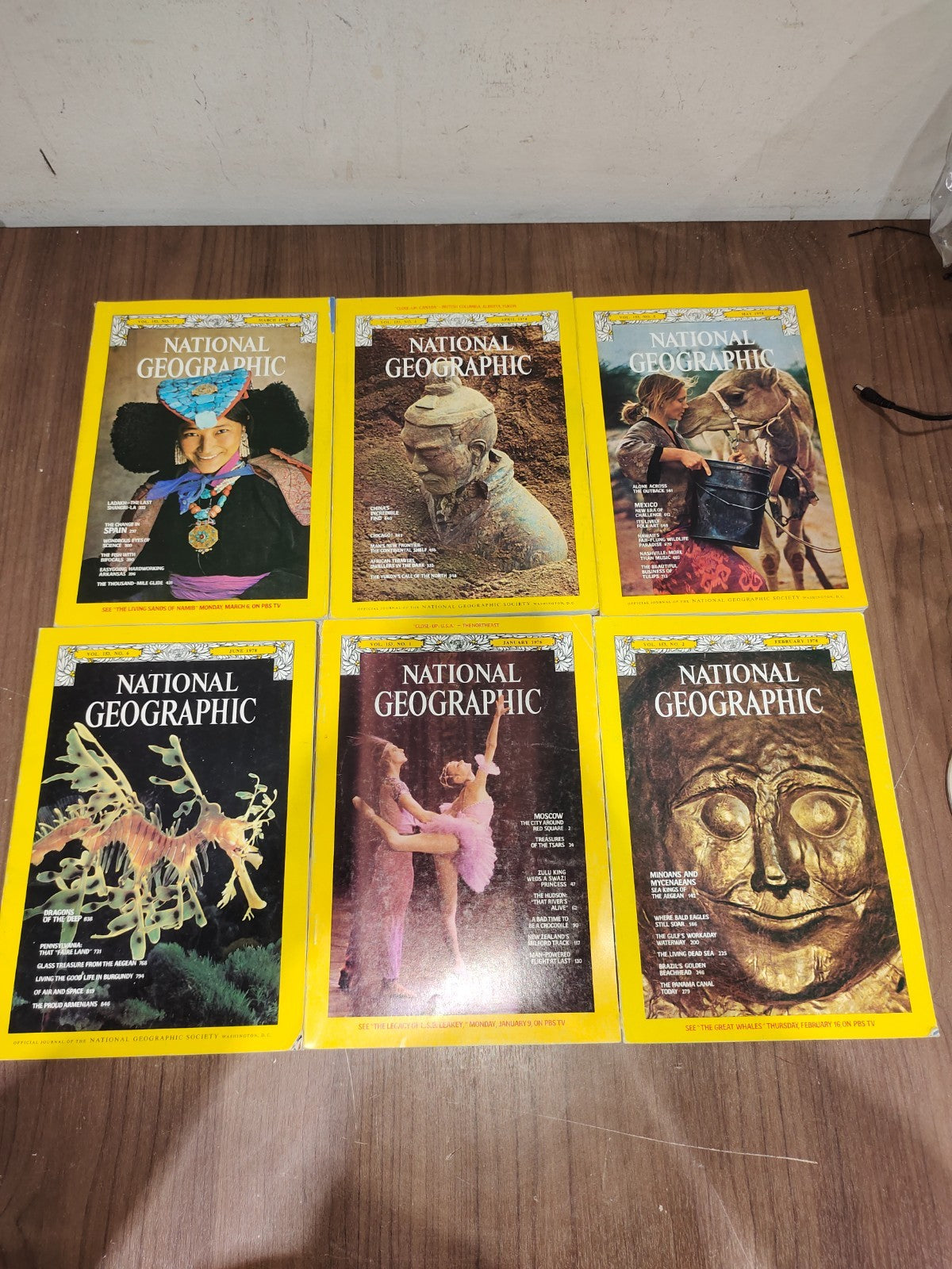 National Geographic - 1978 - January-June - Case Faux Leather - Magazines