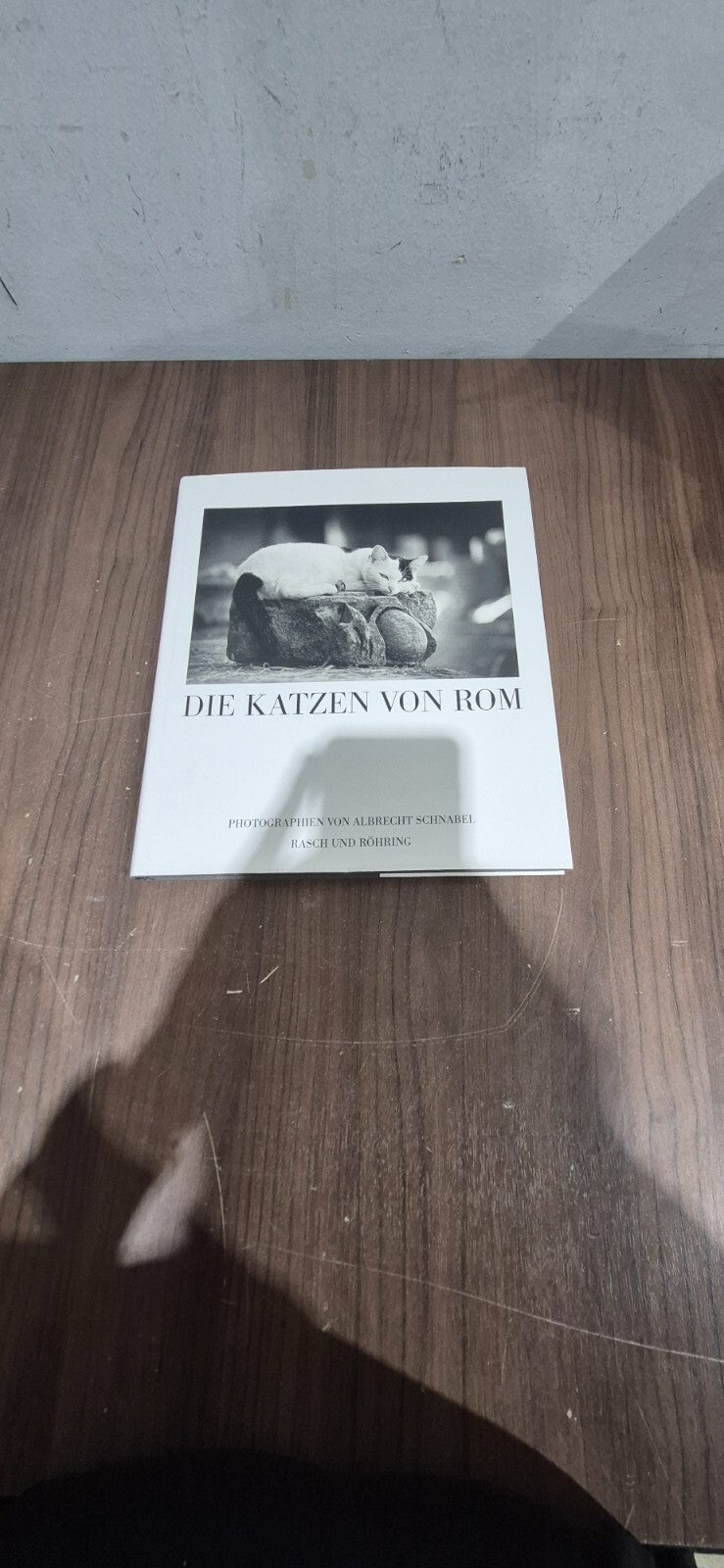 Die Katzen Von Rom Book