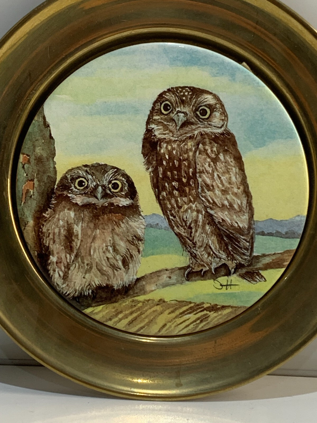 2 owls on porcelain plate limited edition.