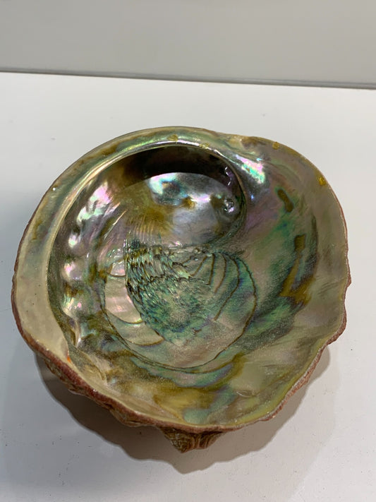 Vintage Iridescent Shell Trinket Dish