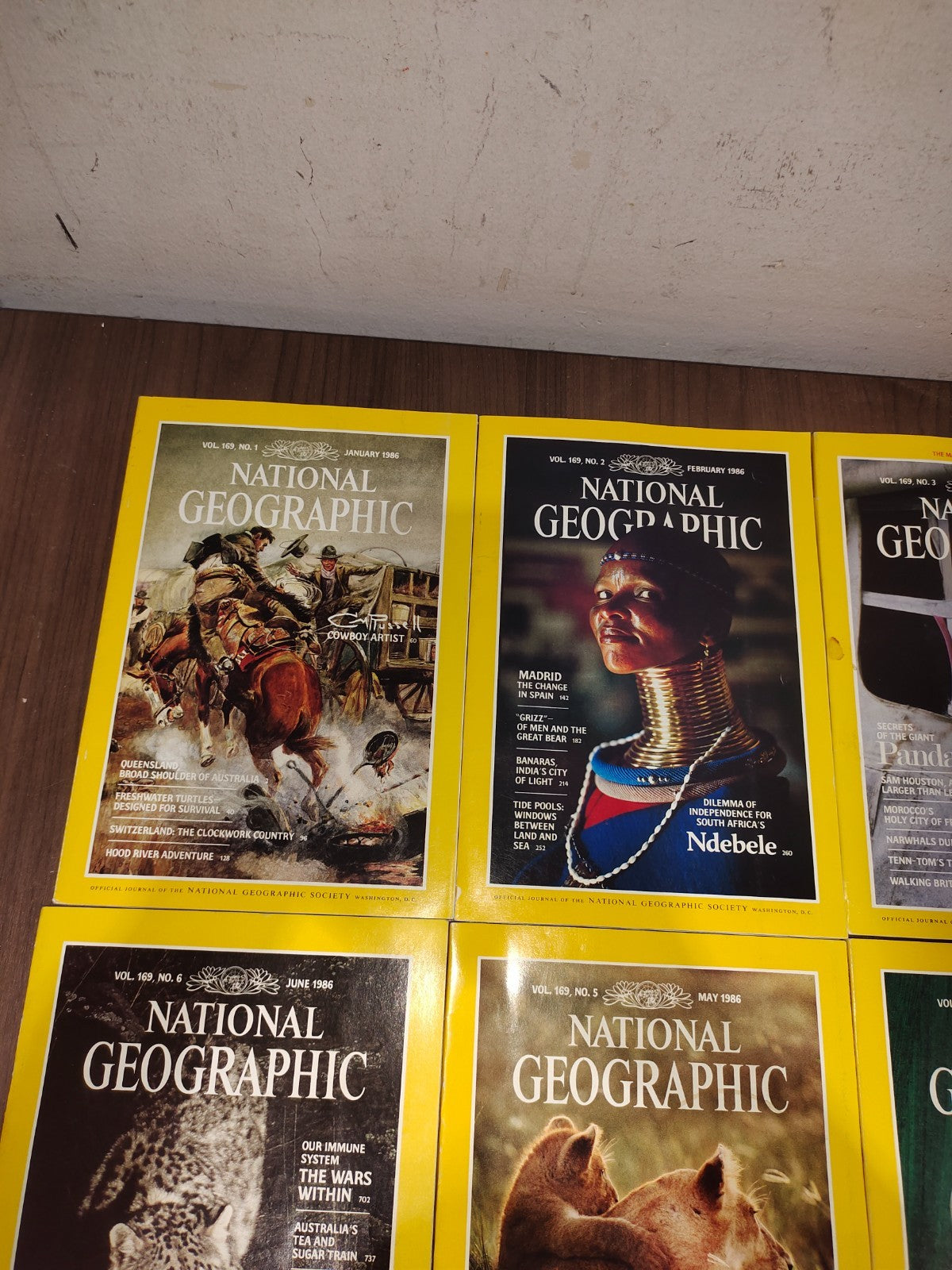 National Geographic - 1986 - January-June - Case Faux Leather - Magazines