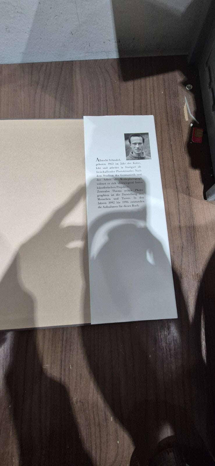 Die Katzen Von Rom Book