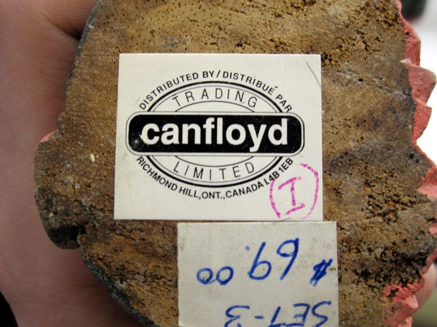 Canfloyd Trading Limited Wood Carved Cats in Box