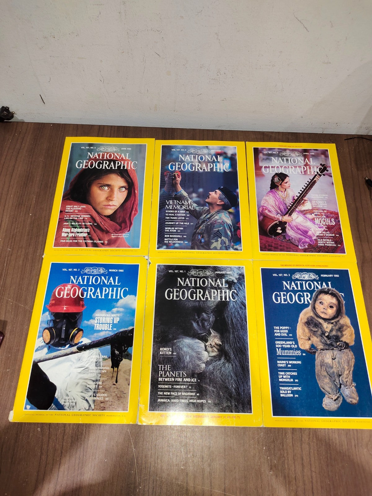 National Geographic - 1985 - January-June - Case Faux Leather - Magazines