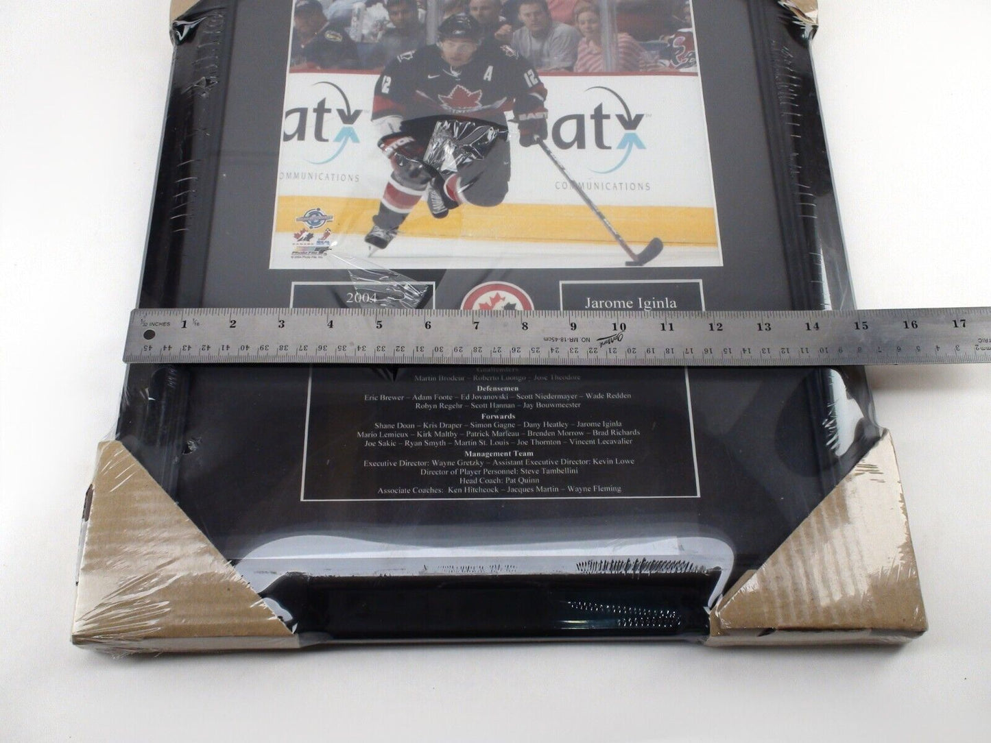 Hockey Glory - Framed Jarome Iginla Team Canada 2004 World Cup Champions Photo