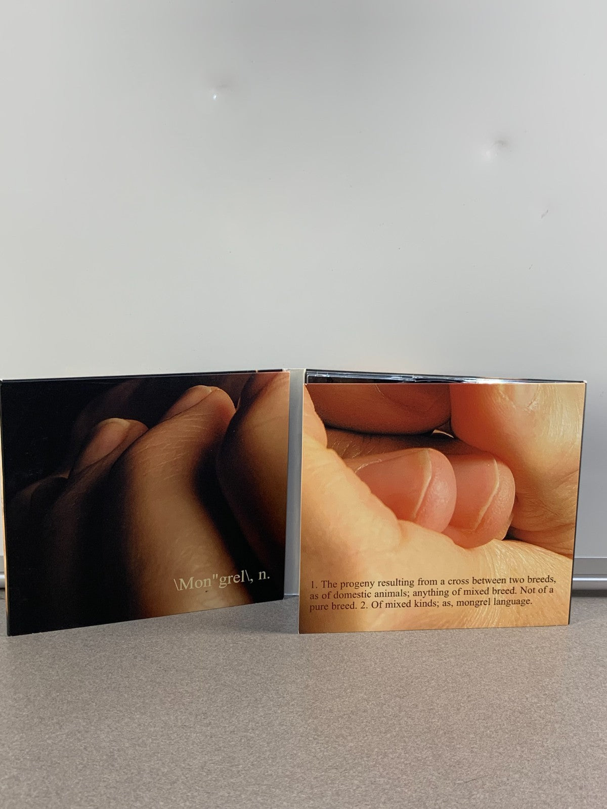 CARLOS DEL JUNCO - Blues Mongrel (2005)