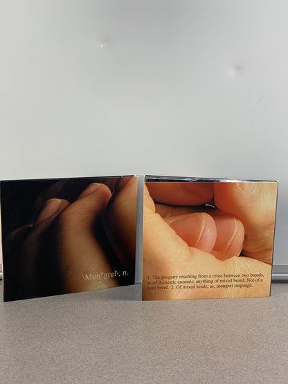 CARLOS DEL JUNCO - Blues Mongrel (2005)