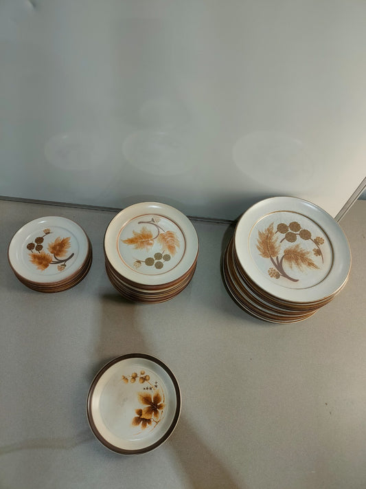 Vintage Denby Cotswold Pottery Plates with Brown Leaves Design