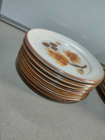 Vintage Denby Cotswold Pottery Plates with Brown Leaves Design