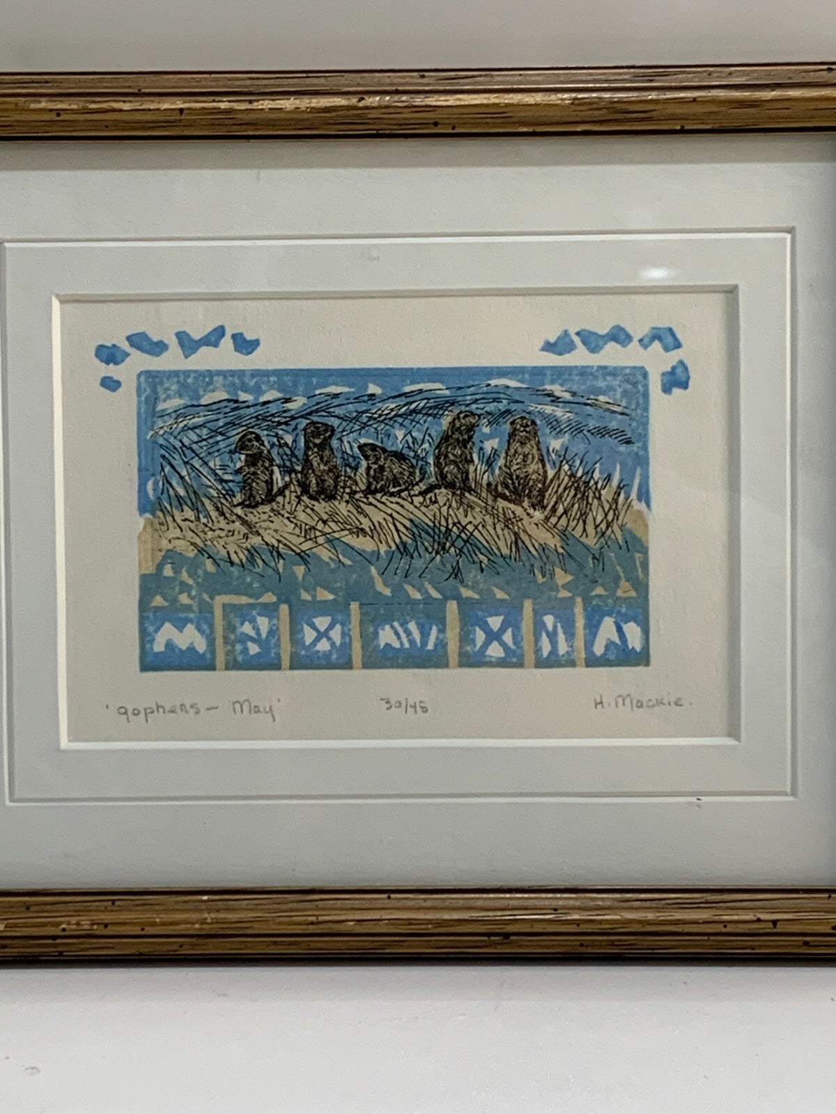 "Gophers - may" Painting By H. Mackie, 30/45