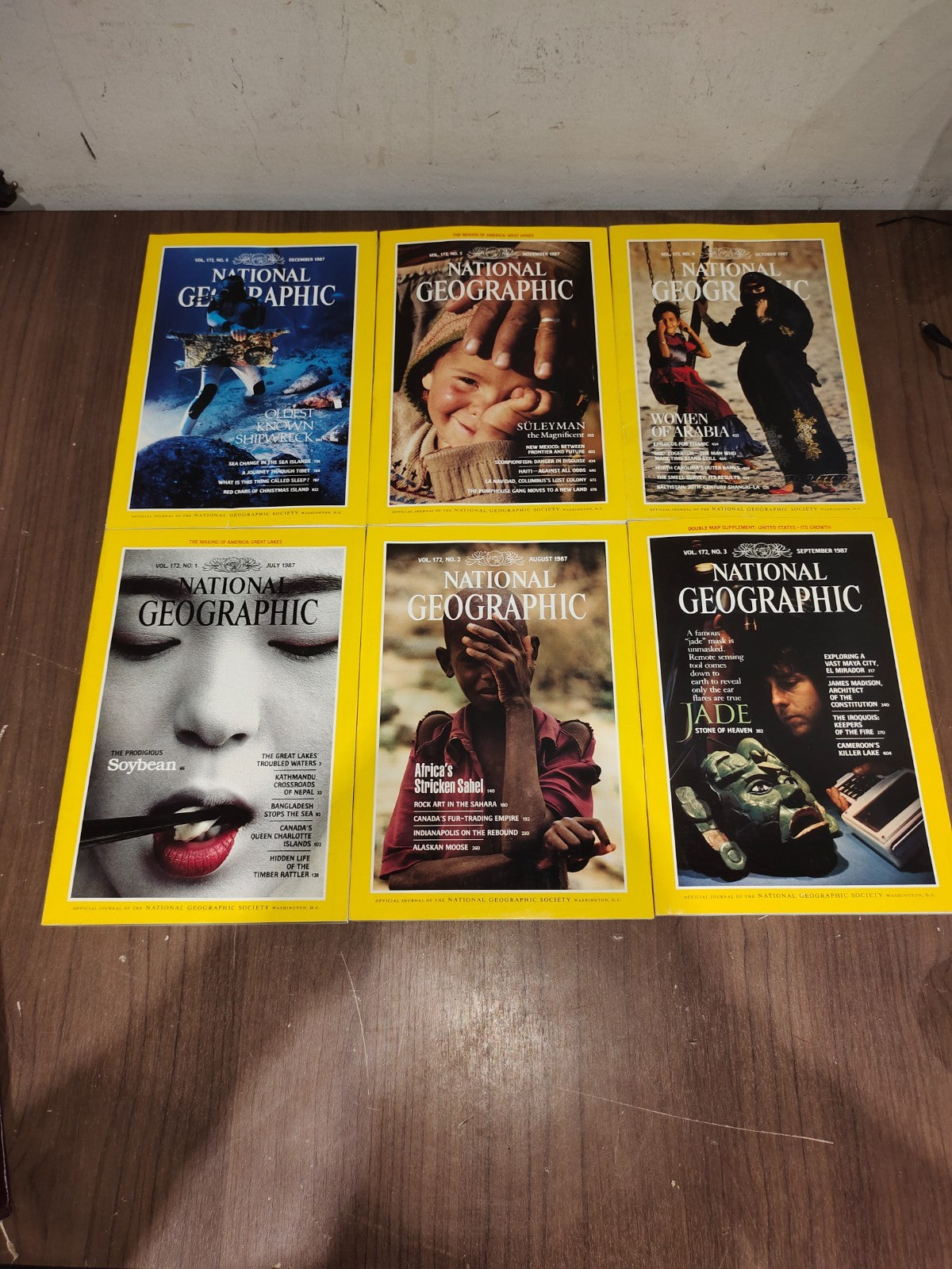 National Geographic - 1987 - July-December - Case Faux Leather - Magazines