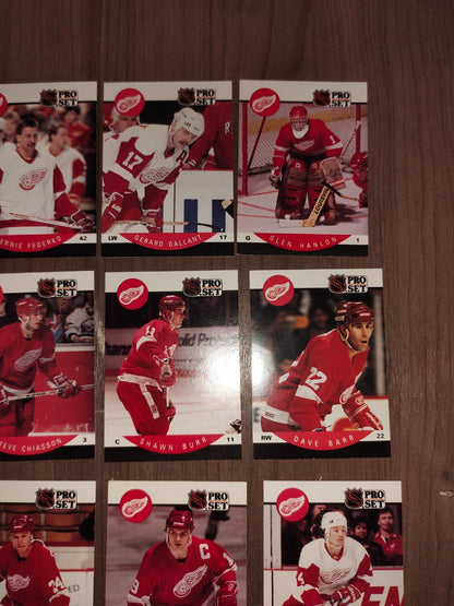 Rare Collectible NHL - Detroit Red Wings Cards PRO-SET - Set of 16 Cards