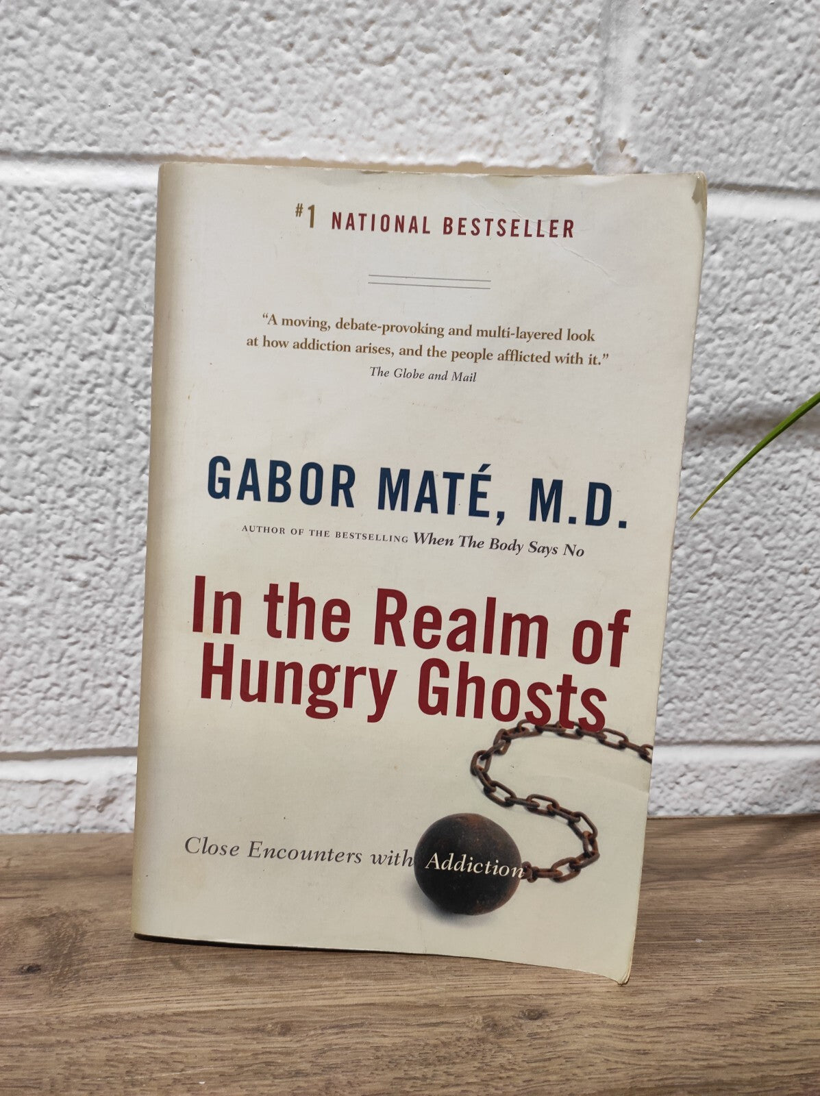 In the Realm of Hungry Ghosts: Close Encounters with Addiction