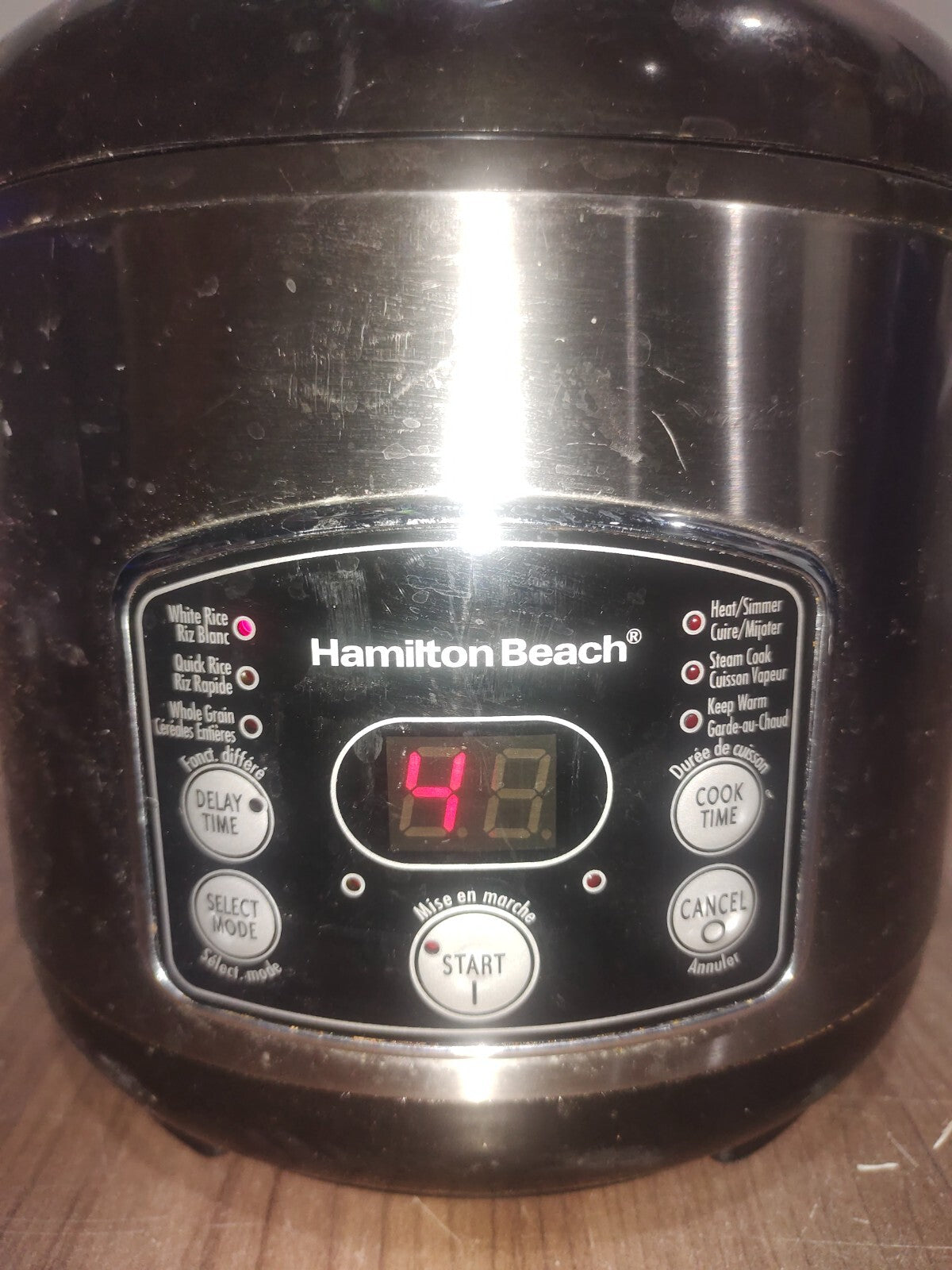Hamilton Beach 37549C Rice/Hot Cereal Cooker, 2 to 14 cup Capacity, 11.06 in L