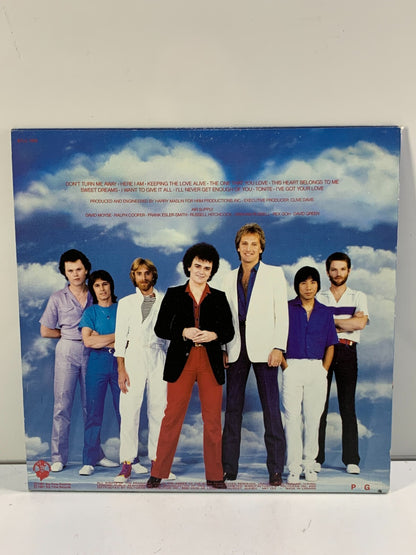 AIR SUPPLY - THE ONE THAT YOU LOVE - VINYL RECORD LP