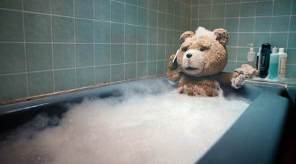 Ted (Blu-ray / DVD)