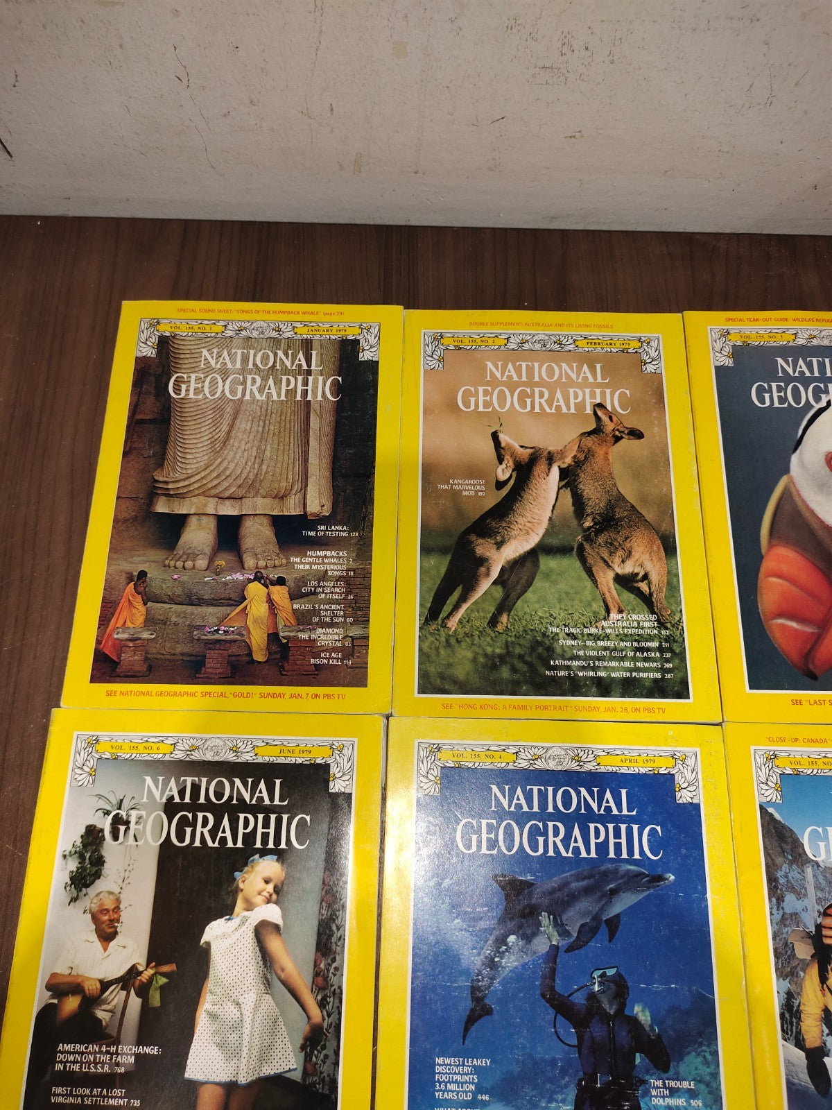 National Geographic - 1979 - January-June - Case Faux Leather - Magazines