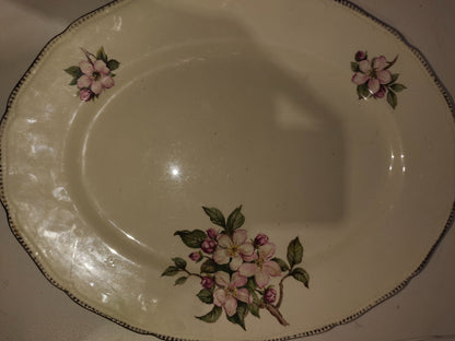 Vintage Royal Swan Oval Serving Plate