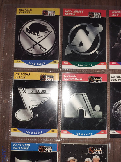 Rare Collectible NHL - Assorted Cards (Set - 8-88) PRO-SET - Set of 16 Cards
