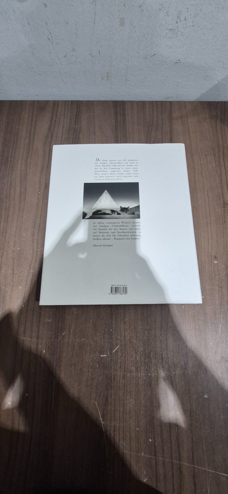 Die Katzen Von Rom Book