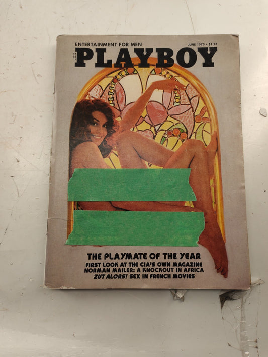 Playboy Magazine - Set of 11