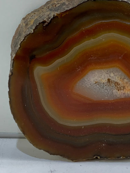 Cut & Polished, Banded Laguna Agate - Mexico