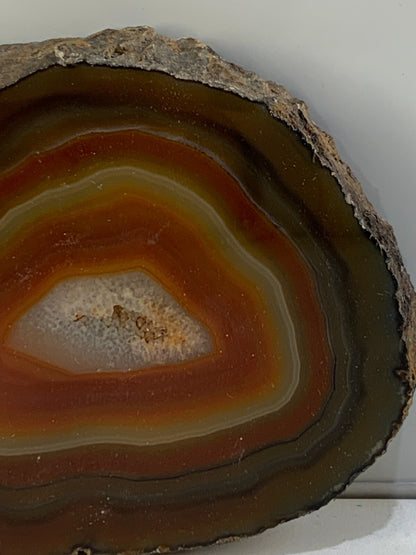 Cut & Polished, Banded Laguna Agate - Mexico