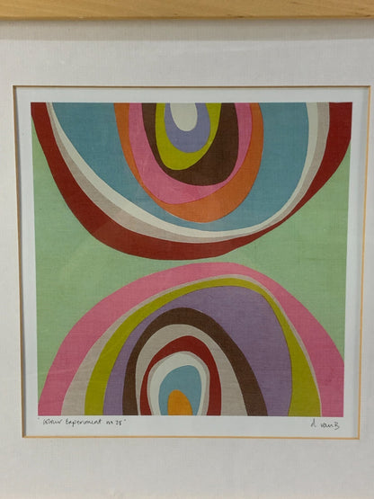 COLOUR EXPERIMENT BY D VAN B, Signed And Framed Offset Lithograph Print By Ikea