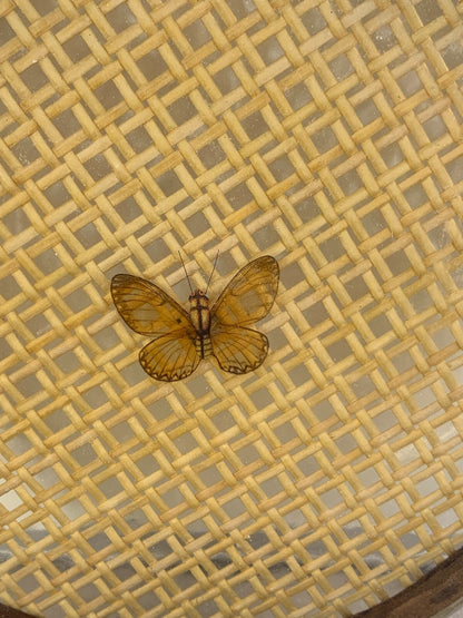 Vintage Rattan Butterfly Pressed Serving Tray
