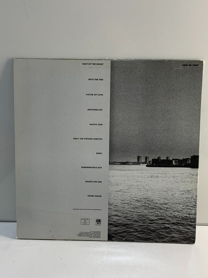 Bryan Adams - Into The Fire vinyl