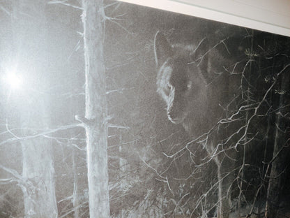 Robert Bateman "Midnight - Black Wolf" Large Print 2001/25352 Signed and Framed