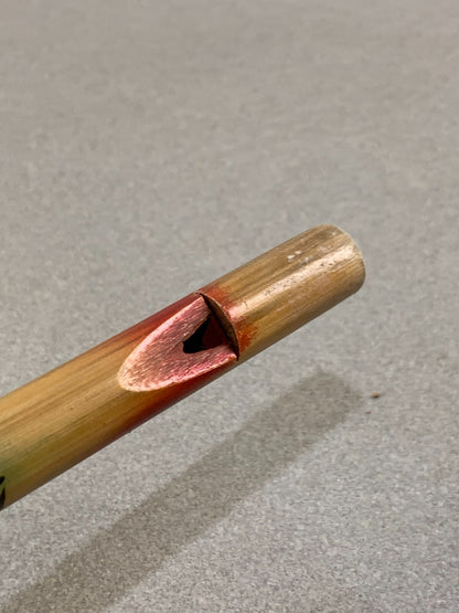 Colorful Bamboo Wood Flute with Dragon Graphics Japan Souvenir