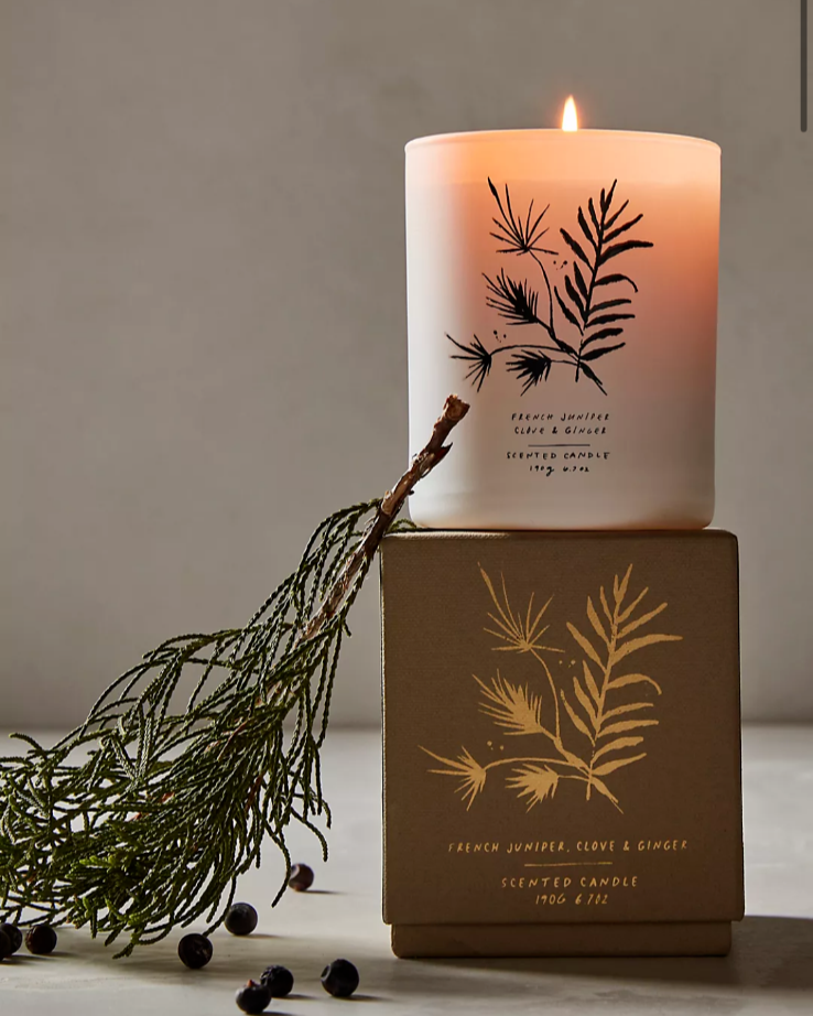Free People French Juniper, Clove + Ginger Scented Candle