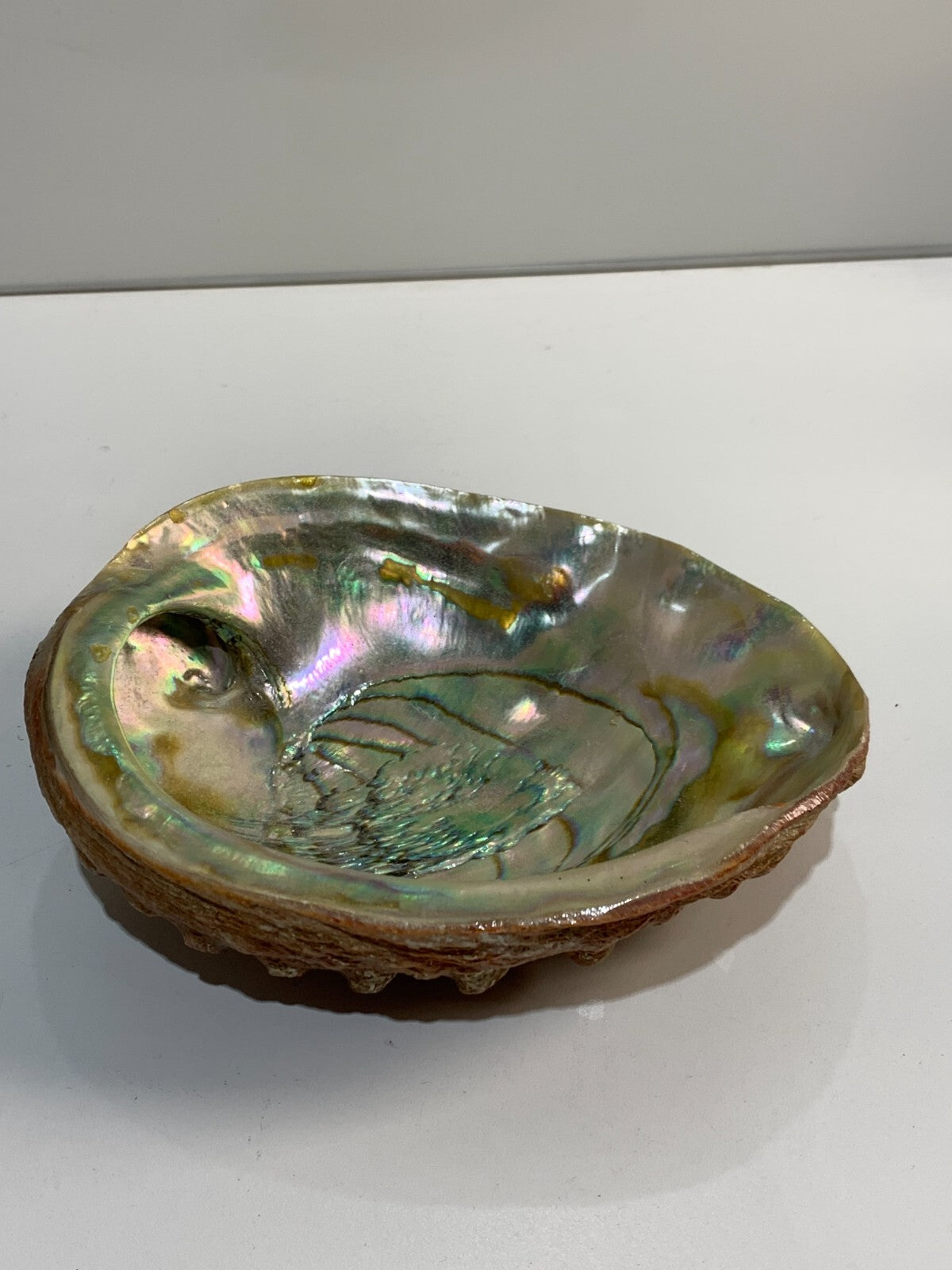 Vintage Iridescent Shell Trinket Dish