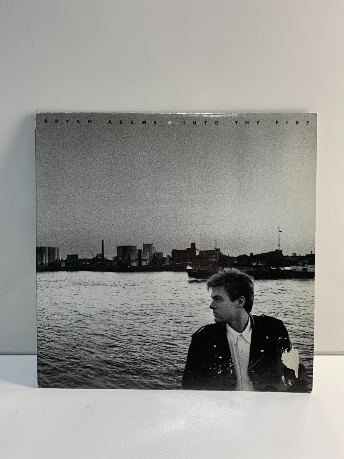 Bryan Adams - Into The Fire vinyl
