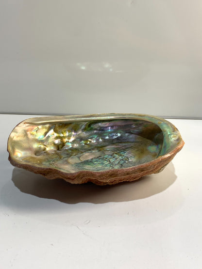 Vintage Iridescent Shell Trinket Dish