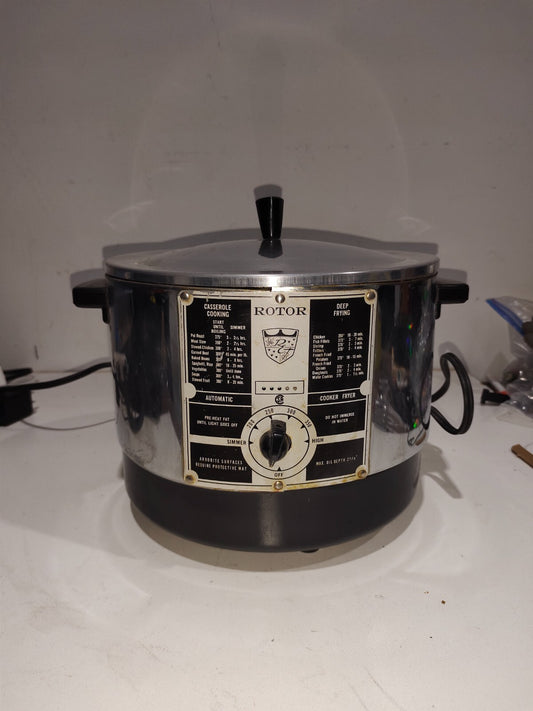 Rotor Deep Fryer - DF 100B