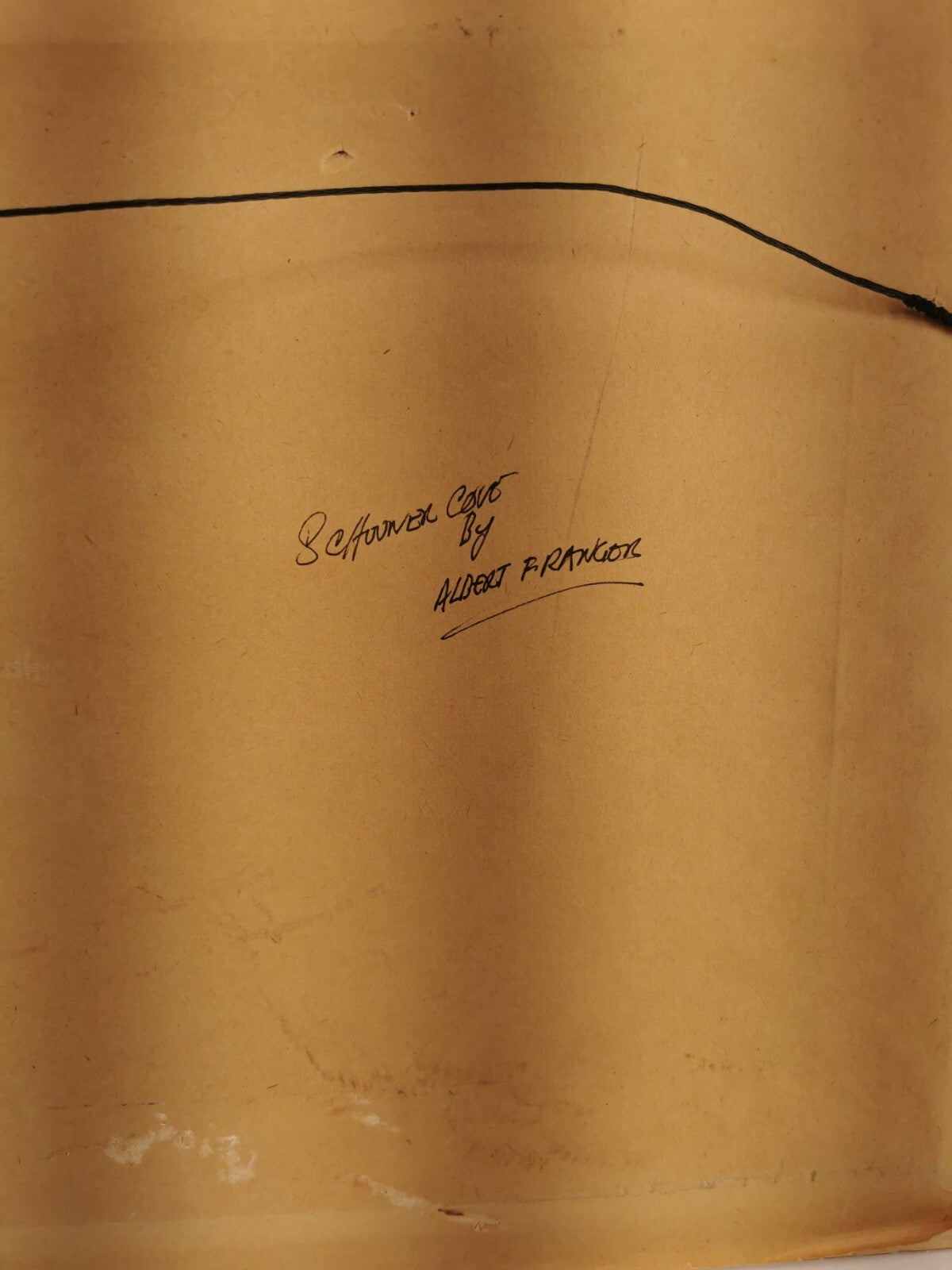 Beautiful Seffwner covt by Albert Francios