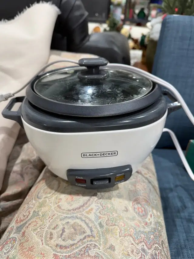 Hot Stone Heater
