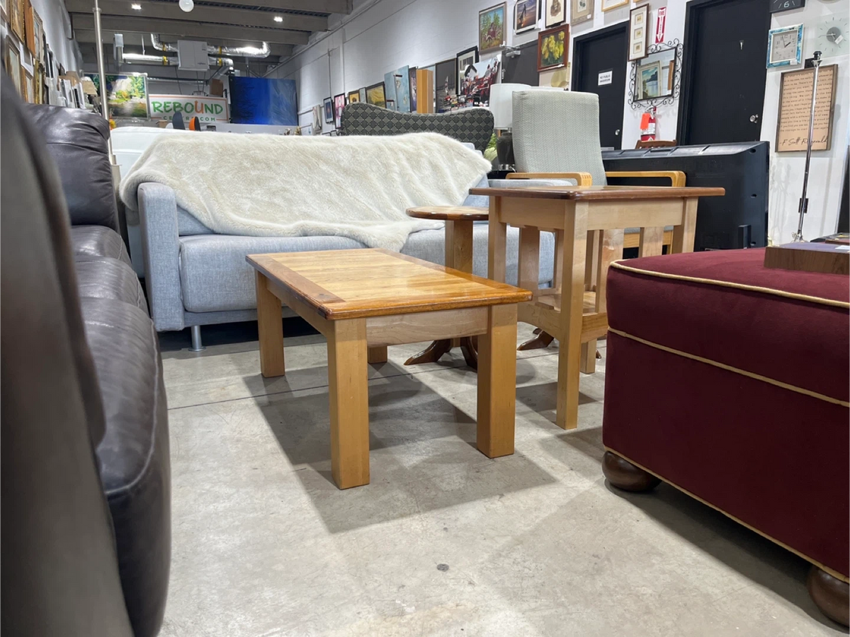 Ensemble table basse et bout de canapé en bois