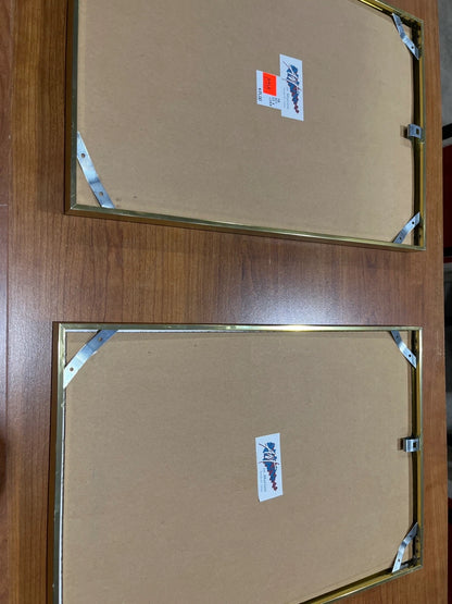 Framed Floral Wall Art - Set of 2