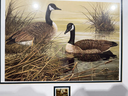 Framed Goose Print