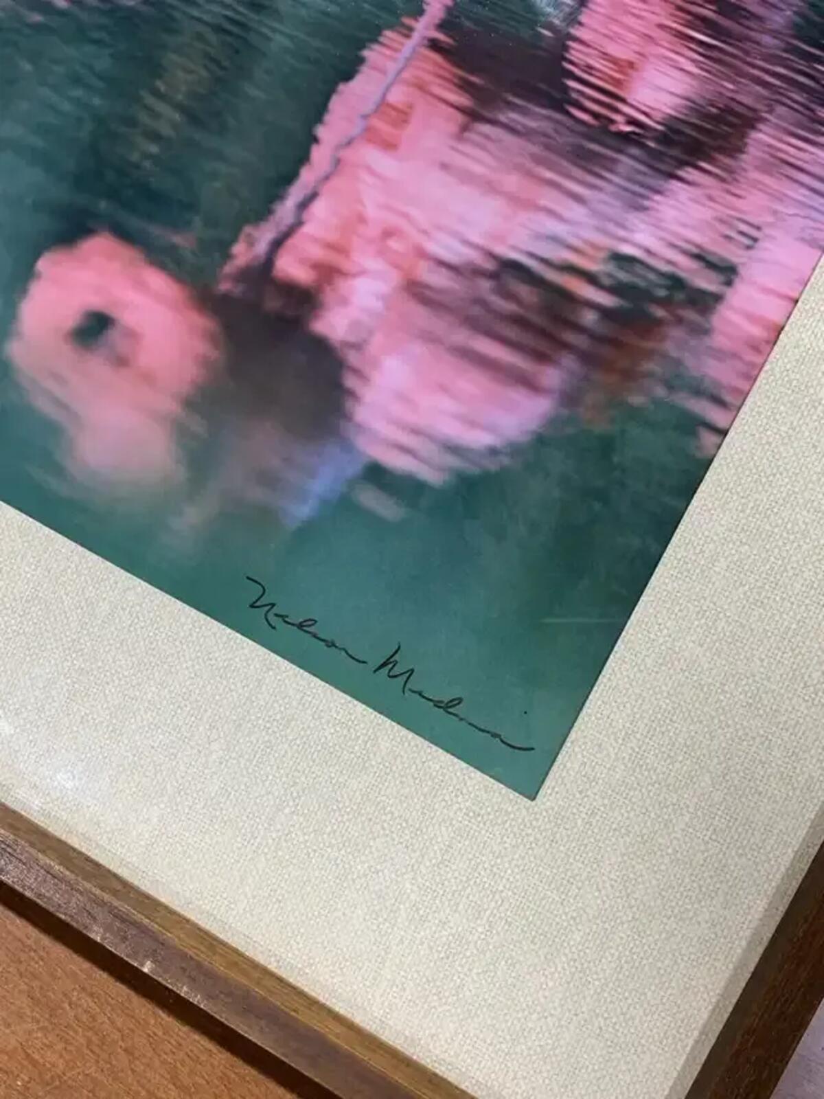 Nelson Medina Reflections Art Print