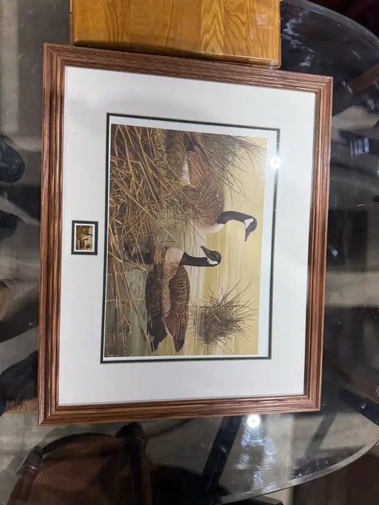 Framed Goose Print